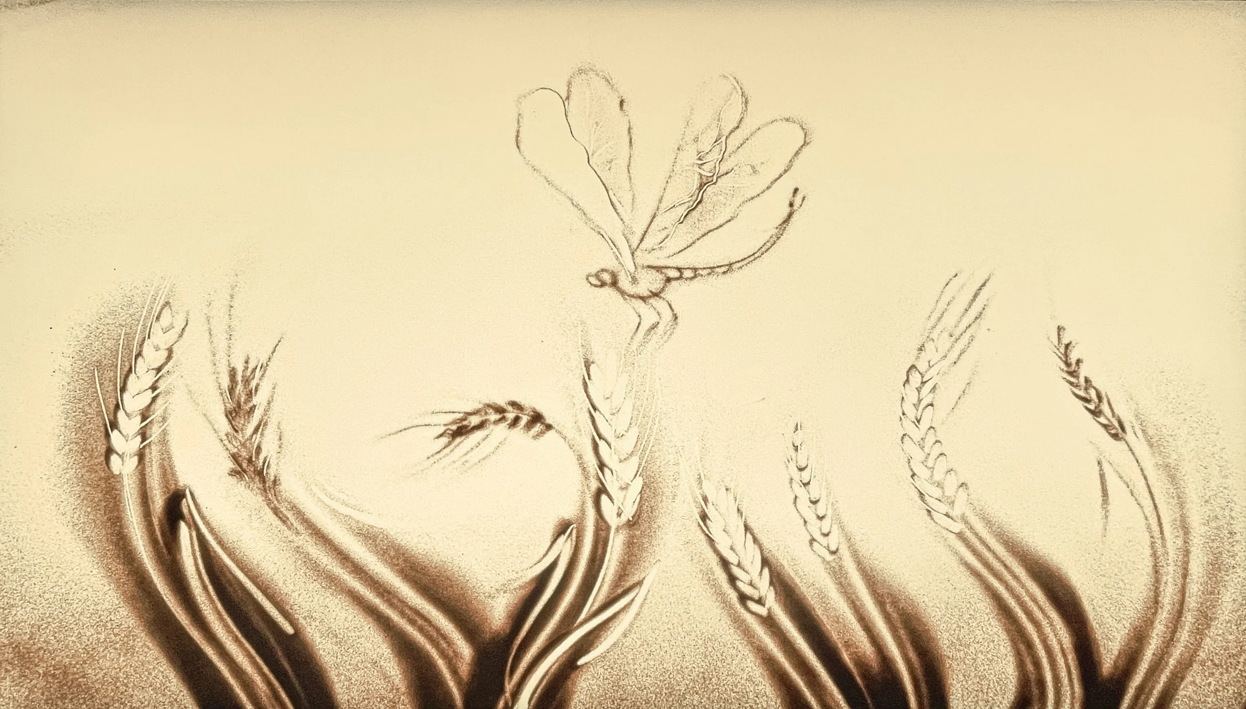 Sand Elf – Sandanimationskünstlerin
